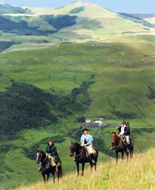 Brazil-Santa Catarina-Southern Cross Fazendas Ride